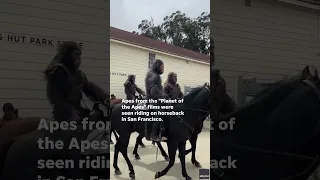 Apes from 'Planet of the Apes' surprise locals, ride on horseback to promote new movie #Shorts