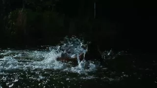 Piranha 3DD - Clip 2