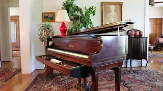 "Fantasie, Op  17 part 1"...Schumann...played by Ossip Gabriowitsch...Ampico B.. Steinway S.