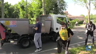 Oltre 50 nuovi platani in viale Tramello. Mancioppi: “Forte impronta verde”