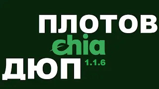 Chia Майнинг - ДЮП ПЛОТОВ Chia 1.1.6