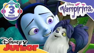 Vampirina | What a Wonderful Dog Song | Disney Junior UK