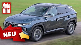 Hyundai Tucson (2020): SUV - erster Check - Motor - Preis - Info