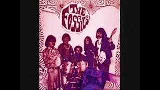 The Fossils - No Good Woman