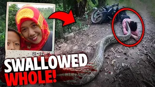 The HORRIFYING Last Minutes of Wa Tiba Eaten Alive By Snake!