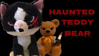 Beanie Boo Halloween Special: The Haunted Teddy Bear