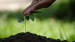 The state of the world’s land and water resources for food and agriculture