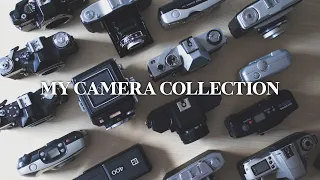 my camera collection