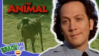 ROB SCHNEIDER falls for GOAT | The Animal | Best Scenes
