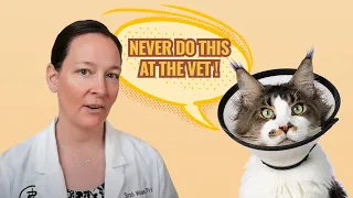 5 Things You Should Never Do At The Vet Clinic