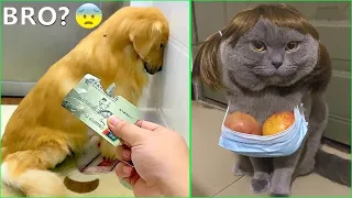 Funniest Animals 2023 😅 New Funny Cats and Dogs Videos 😹🐶 Part # 23