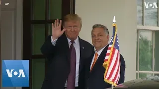 President Donald Trump welcomes Hungary PM Viktor Orban to the White House