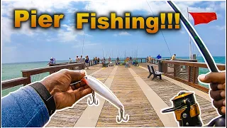 What Ate This Lure Was LARGER Than EXPECTED! Pier Fishing For Giants