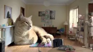 Гигантский кот в рекламе кофе Arlistan 'Le Gató'