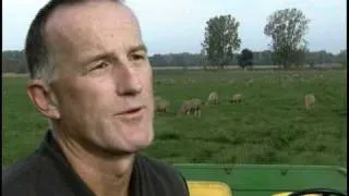 Meet a Michigan Sheep Farmer