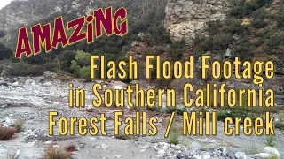 Amazing Flash Flood Footage in Southern California - Forest Falls / Mill creek