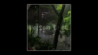 Poison tree (instrumental + slowed and it’s raining)