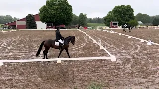 Bridget Waredaca dressage