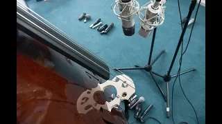 DOUBLE BASS MICROPHONES TEST