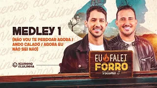 MEDLEY 1 - Iguinho e Lulinha (Eu Falei Forró 3)