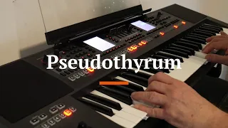 Pseudothyrum - Euro Disco Inspired By Gregorian Music Played On The Roland E-A7 Keyboard