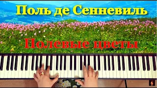 П. Сенневиль Полевые Цветы  (Paul de Sennevil | Wildflowers) | PIANO | Красивая фортепианная музыка