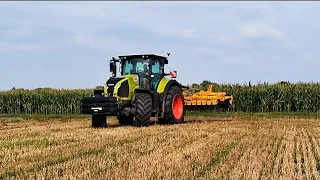 Talerzowanie Claas Axion 800