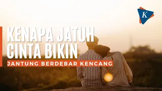 Kenapa Jatuh Cinta Bikin Jantung Berdebar Kencang?