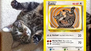 Make your Pet a Pokémon! -- Game LÜT