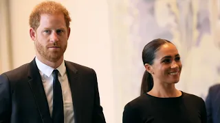 ‘Completely bizarre’: Ex-royal staff believes Meghan Markle brainwashed Prince Harry