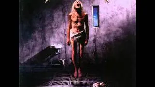 Foreclosure of a dream - Megadeth (Countdown To Extinction)