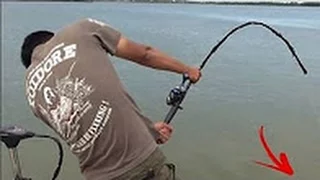 FISHING IS AWESOME 2016 HD BEST FISHING VIDEOS COMPILATION