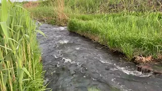 В поисках щуки 🎣