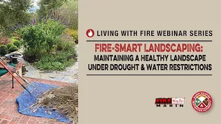 Prioritizing Landscaping During Drought