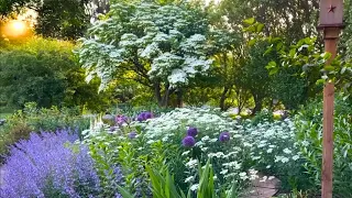 May 2023 Garden Tour // Creating a Cottage Garden from Scratch & Watching it Transform Each Year