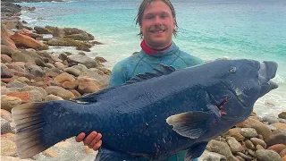 Spearfishing Huge Blue Grouper | South West WA