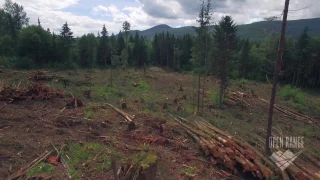 Deforestation Clear Cutting Aerial