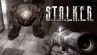 Знакомство с переростком #27 Девушка играет в S.T.A.L.K.E.R.: Зов Припяти