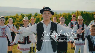 Bogdan Octavian Hurban - 🍇 Culesul viilor 🍇