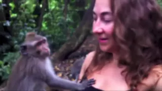Monkey grabs girl boobs