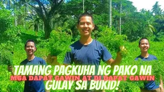 PAANO ANG TAMANG PAGKUHA NG PAKO NA GULAY SA BUKID