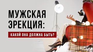 Мужская эрекция: какой она должна быть?