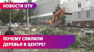 На улице Советской в Уфе вырубили деревья. Активисты бьют тревогу, а жители довольны