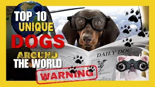 Top 10 Unique Dogs In The World ! 🙂