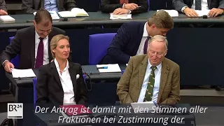 Der erste Antrag der AfD im Bundestag | BR24