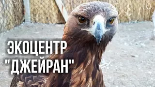 Природа Узбекистана: Экоцентр «Джейран»