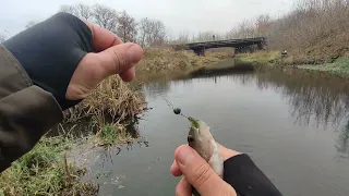 ﻿Streetfishing по ОКУНЮ на УЛЬТРАЛАЙТ Flagman Areata. Perch street fishing on Flagman Areata.