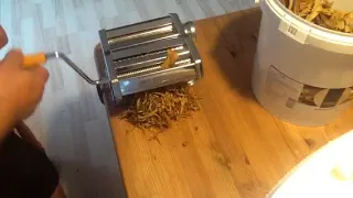 Shredding tobacco leaves on a pasta machine.