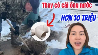 ND#404|| THIỆT HẠI GẦN 20 TRIỆU SAU ĐỢT TUYẾT ĐÓNG BĂNG KÉO DÀI _ HẾT TIỀN ĂN TẾT #nhungdangcc,