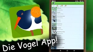 Vogelarten ganz leicht bestimmen  - Die Vogel App ! -